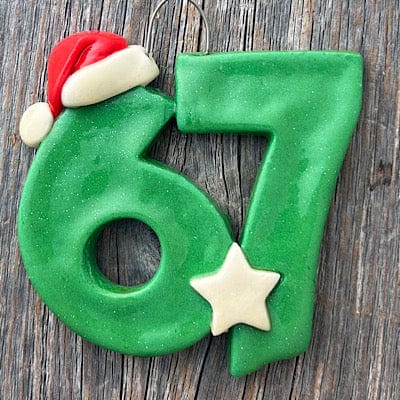 Tis The Season Christmas Ornaments 67