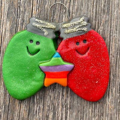 Tis The Season Christmas Ornaments Lightbulb couple with rainbow star