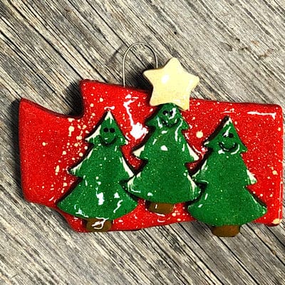 Tis The Season Christmas Ornaments 3 Evergreen State Family Ornament